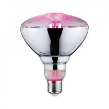  LED FIL PLANT PAR38 E27 6,5W 2 