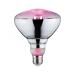  LED FIL PLANT PAR38 E27 6,5W 2 