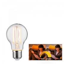 LED fil STD 806lm E27 7W dim 