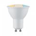  ENC Choose 3 GU10 white switch 