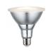  LED PAR38 1000lm E27 13,8W grd 