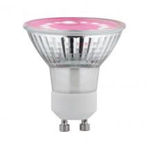  AMPOULE LED GU10 2,4W 65LM 