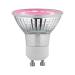  AMPOULE LED GU10 2,4W 65LM 