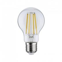  Ampoule LED EcoLine E27 standa 