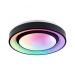  WD SpacyColor dy RGB TunW 22W 