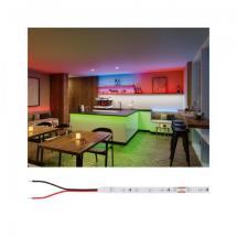  PRO RUBANLED CLASSE ARGENT P25 