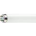  MASTER TL-D Xtreme Super 80 58 
