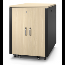  APC RACK INSONORISE 17U 