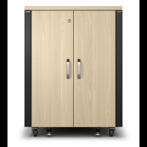  APC RACK INSONORISE 17U 