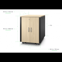  APC RACK INSONORISE 17U 