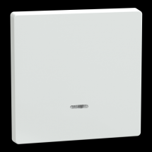  ENJO BLANC LOTUS AVEC VOYANT 