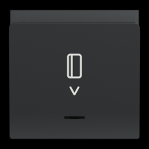  Cde  carte elect 10A 2m Anthr 