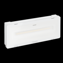  EXIWAY SMARTLED AMB 400LM -25� 