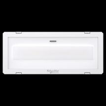  EXIWAY SMARTLED AMB 400LM -25� 