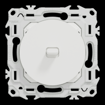  ODACE VA-ET-VIENT OU POUSS. LE 