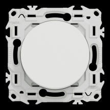  ODACE VA-ET-VIENT OU POUSS. LE 