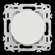  ODACE VA-ET-VIENT OU POUSS. LE 