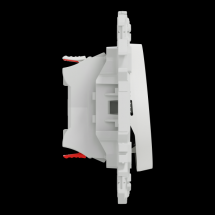  ODACE VA-ET-VIENT OU POUSS. LE 