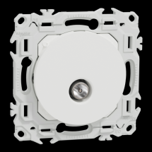  ODACE VA-ET-VIENT OU POUSS. LE 