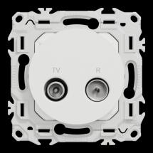  ODACE VA-ET-VIENT OU POUSS. LE 