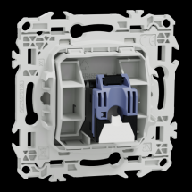  ODACE VA-ET-VIENT OU POUSS. LE 