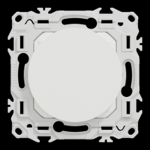  ODACE VA-ET-VIENT OU POUSS. LE 