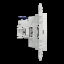  ODACE VA-ET-VIENT OU POUSS. LE 