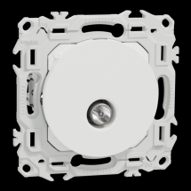  ODACE VA-ET-VIENT OU POUSS. LE 