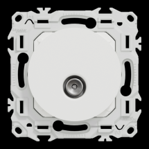  ODACE VA-ET-VIENT OU POUSS. LE 