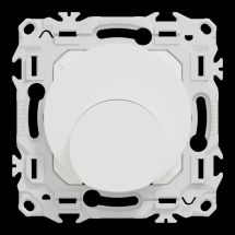  ODACE VA-ET-VIENT OU POUSS. LE 