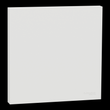  ODACE VA-ET-VIENT OU POUSS. LE 