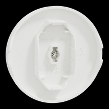  ODACE VA-ET-VIENT OU POUSS. LE 