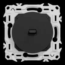  ODACE VA-ET-VIENT OU POUSS. LE 