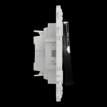  ODACE VA-ET-VIENT OU POUSS. LE 