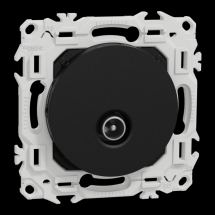  ODACE VA-ET-VIENT OU POUSS. LE 