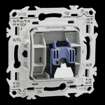  ODACE VA-ET-VIENT OU POUSS. LE 