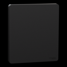  ODACE VA-ET-VIENT OU POUSS. LE 