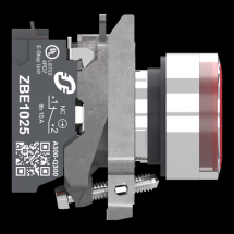 BP ROUGE PUSH IN 1F+1O 