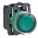  BP LUMINEUX VERT 1O+1F 110V 