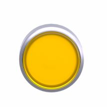  TTE BOUTON P P LUMIN AFFL 22 