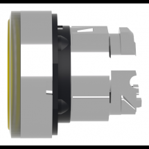  TETE BOUTON P P LUMIN AFFL O22 