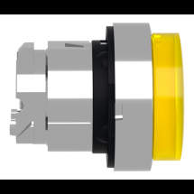  TETE B P LUMIN DEL DEP L O22 J 