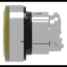  TETE B P LUMIN DEL AFF A O22 J 