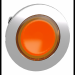  TTE VOYANT DEL FLUSH ORANGE 