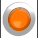  TTE BP LUM FLUSH DPAS ORANGE 