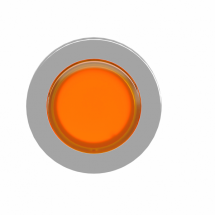  TTE BP LUM FLUSH DPAS ORANGE 