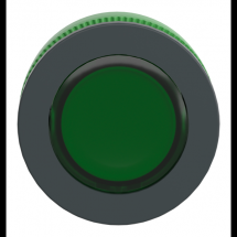  TETE ENCASTREE BOUTON POU 