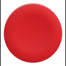  CAPSULE LISSE ROUGE POUR 