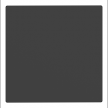  PLASTRON 300X300 PERSONNALISE 