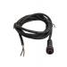  RALLONGE MINI M 2POLES IP68 2M 